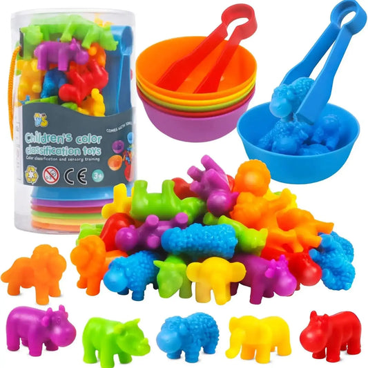 Color Sorting and Counting Toy for Toddlers and Preschoolers Learning and Sensory Game