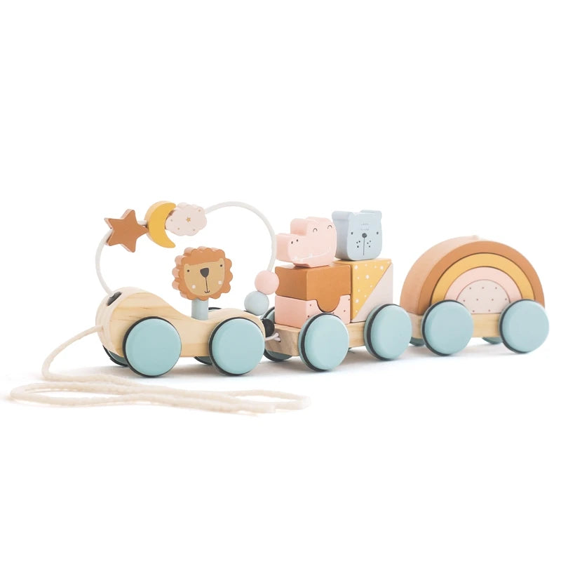Wooden Train